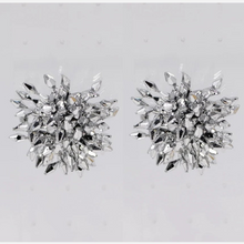Load image into Gallery viewer, Flower Earrings